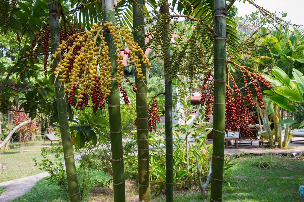 Le Flamboyant Resort Kep Eksteriør billede