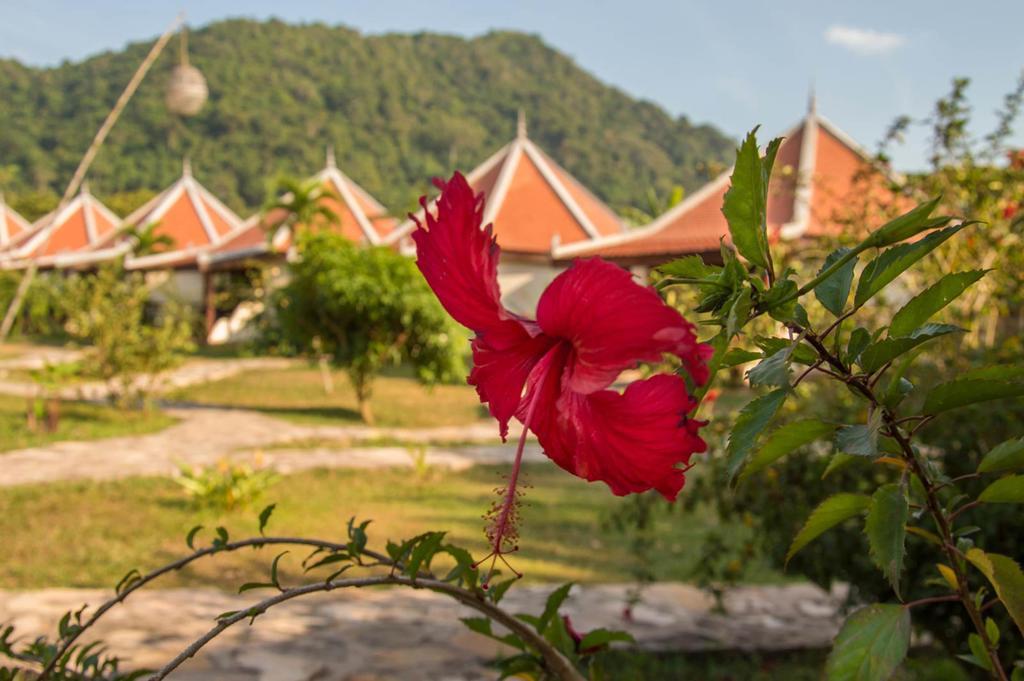 Le Flamboyant Resort Kep Eksteriør billede
